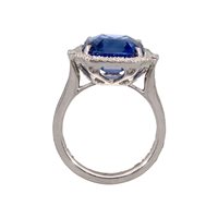 Vicenza - Piazzetta Palladio 2 - Ring Crivelli Woman ZAFFIRO in White Gold Zaffiro blu 8.85 Ct 000-5383NS - 000-5383NS